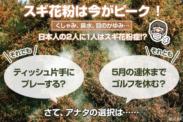 日本列島はスギ花粉の飛散がピークを迎えている