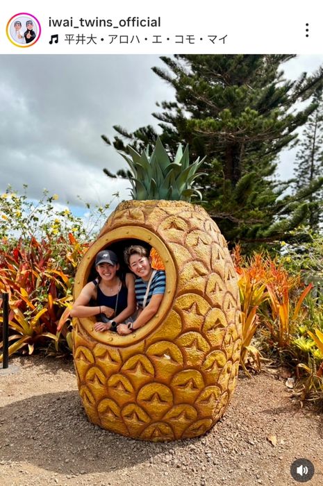 パイナップル型置物 AI-2 : Happyyami 2個仿真菠萝模型 大号 人工果物