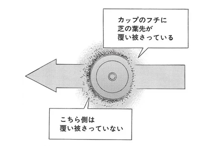 カップの右フチに芝の葉先が覆い被さっていて、左フチには覆い被さっていない場合、芝目は右から左に流れていることが分かる