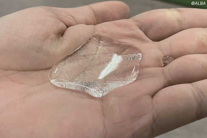 手のヒラに水がとどまっている!? これが魔法の粉の力です