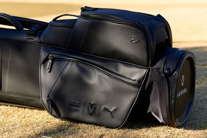 写真] シンプルで高級感あふれる コブラ×プーマ×ベゼルの