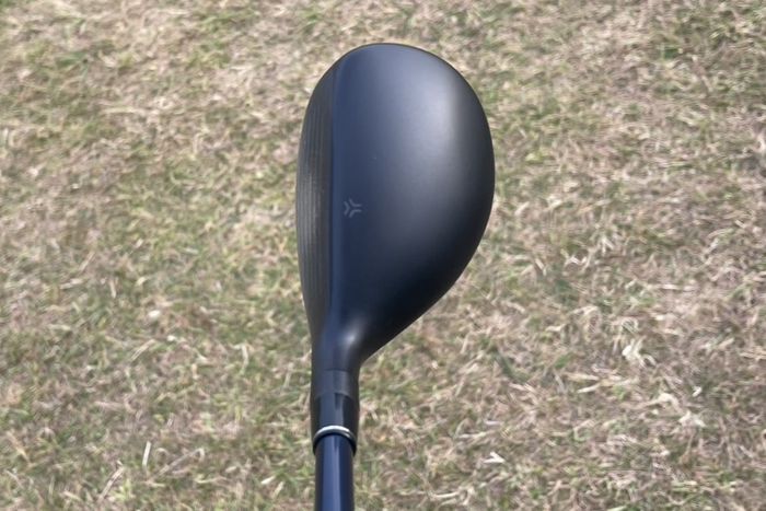 写真] 全英女子で初V・山下美夢有のアイアンシャフト『DG85』は