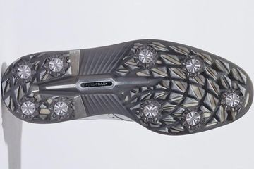 写真] 海外選手が来ると人気が際立つ！？契約外使用も多い男子プロの一