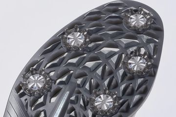 写真] 海外選手が来ると人気が際立つ！？契約外使用も多い男子プロの一