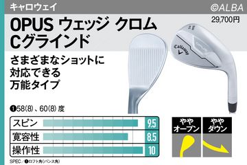 あなたの構え方に合ってる？ 最新ウェッジ22本をグラインド別に