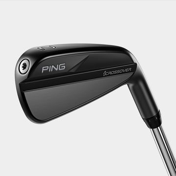 DG スポーツ PING iDi ドライビングアイアン（日本正規品） 番手：#2