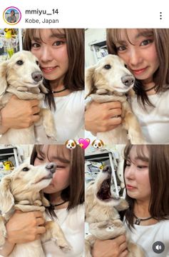 パラディーゾから丸山茂樹使用キャディバッグのレプリカ登場 - ゴルフ