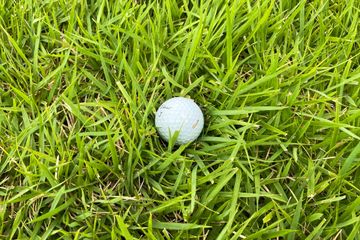 このライ、飛ぶの?飛ばないの?