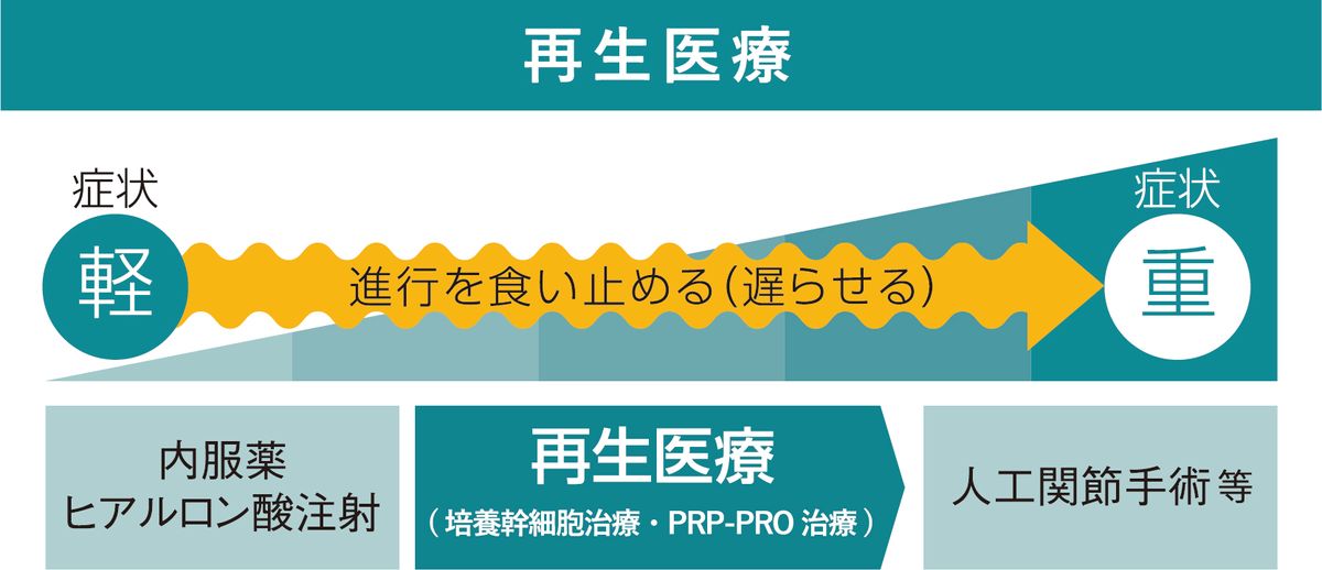 股関節／膝関節の検査と治療～力を使わず、痛みを伴わない新しい検査