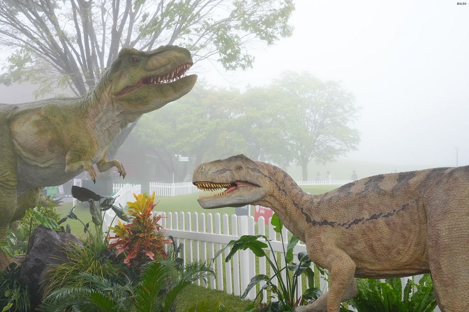 G25htjVw87mhzHeO70UA.jpg?ver=yFg0