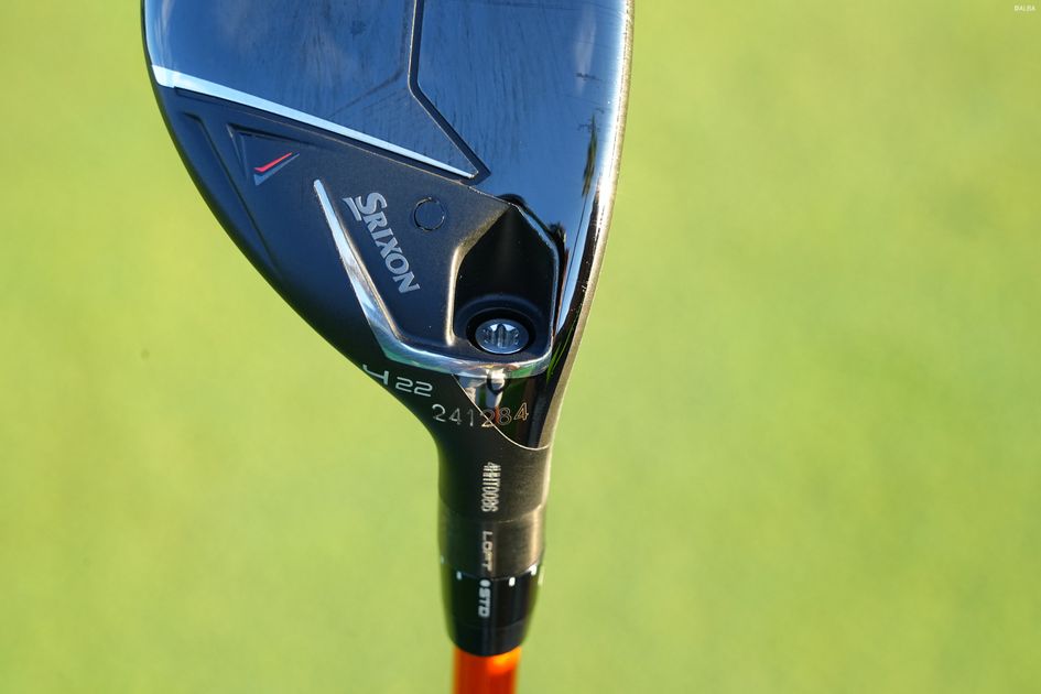 OOUPacH1oiLVZpTvTkJ1.jpg?ver=1Cmi