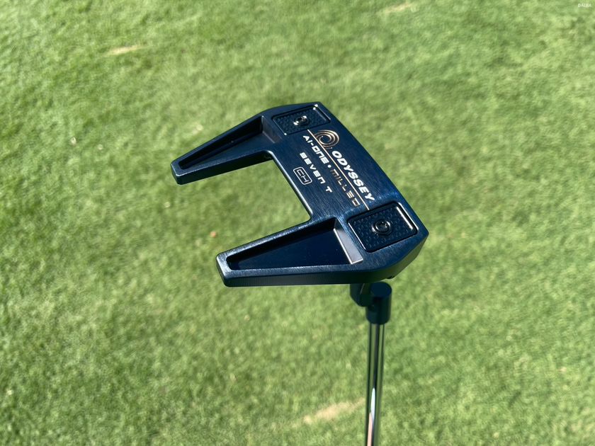 データを根拠にパターをスイッチ 竹田麗央のツノ型クランクネック