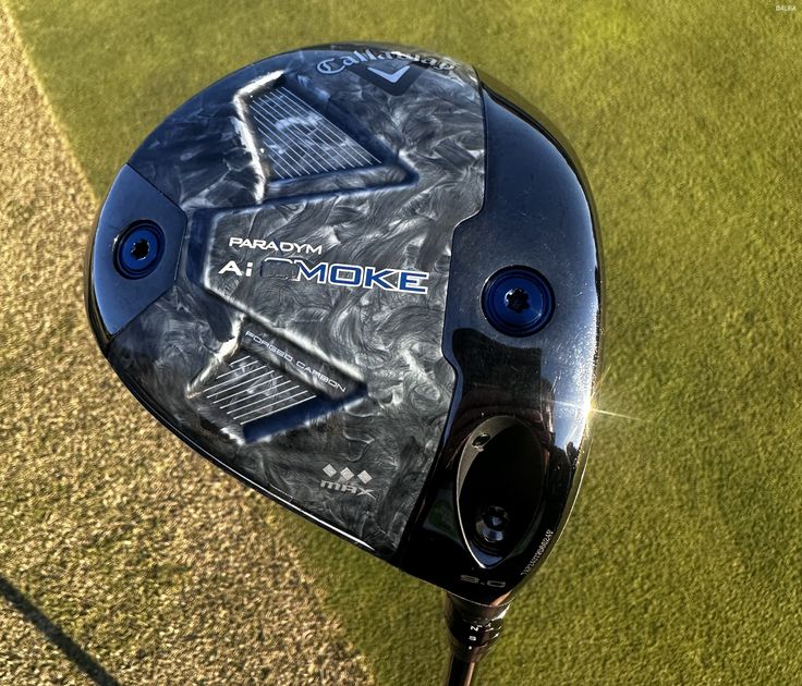 ゴルフセットテーラーメイド 1W FWUT アイアン パター13本