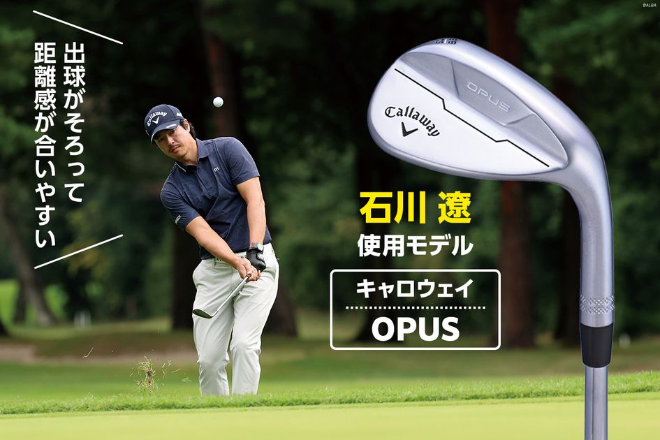 キャリーバッグ、ドライバー、FW,アイアン、ウェッジ、パター全部で16本 キャリーバッグ、ドライバー、FW,アイアン、ウェッジ、パター全部で16本