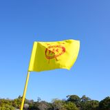 男子開幕戦で発見！ ヤマハの新作を藤田寛之と今平周吾がバッグイン